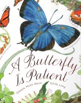 A BUTTERFLY IS PATIENT1