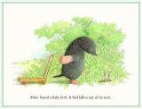鼹鼠与小鸟（mole and the baby bird）2