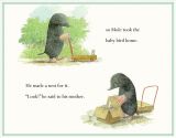 鼹鼠与小鸟（mole and the baby bird）4
