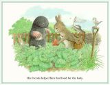 鼹鼠与小鸟（mole and the baby bird）6