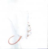 正反（插画大师莫妮克） 5