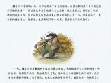 獾的礼物4