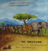 找不到妈妈了（小象勿忘我）4