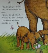 找不到妈妈了（小象勿忘我）6