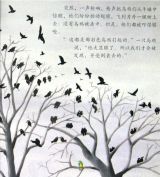 一只与众不同的乌鸦5