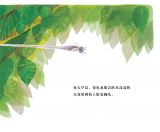 聪明的变色龙6