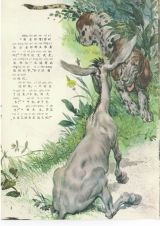 布莱梅的乐队4