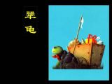 犟龟1