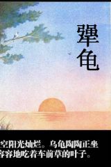 犟龟3