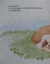 雪山救助犬和旅行者4