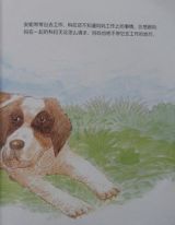 雪山救助犬和旅行者5