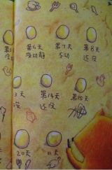 狐狸爸爸鸭儿子3