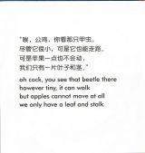 苹果6