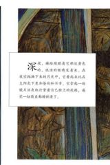 五个丑家伙6
