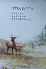世界为谁存在5