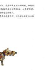 雷奥与狗3