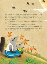 宝葫芦（2011.10）-小獾和爷爷6