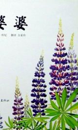 花婆婆3