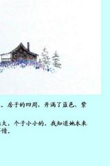 花婆婆5