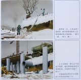 森林大熊5