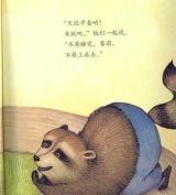 不要睡觉，赛莉5