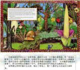 伊甸园4