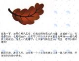 如果我是一阵风3