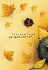 不愿冬眠的小刺猬4