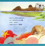 海豚找妈妈3