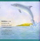 海豚找妈妈4