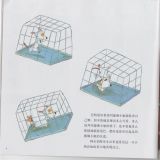 巴特恩的裁缝梦5