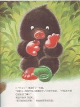 鼹鼠莫迪和活动的牙5